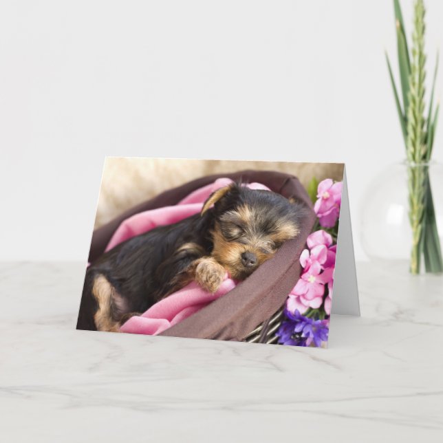 Carte de Yorkie Valentine (Devant)