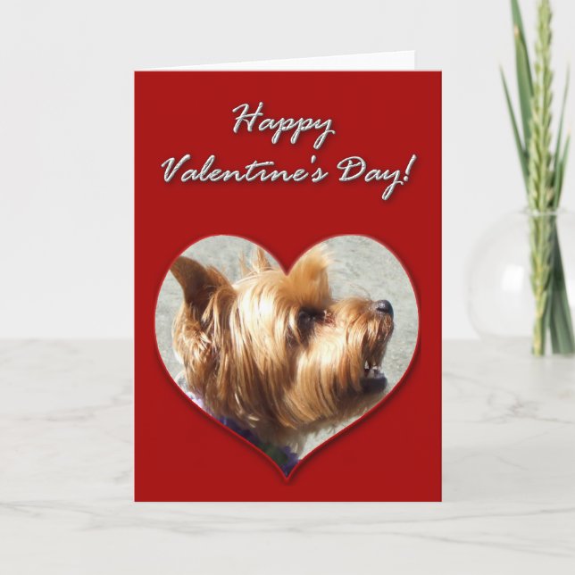 Carte de Yorkshire Terrier de heureuse (Devant)