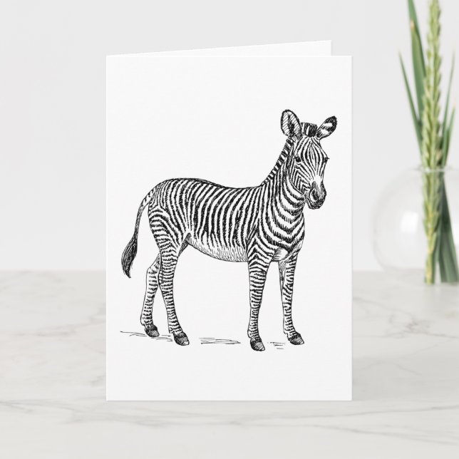Carte de Zebra Blank Greetings (Devant)