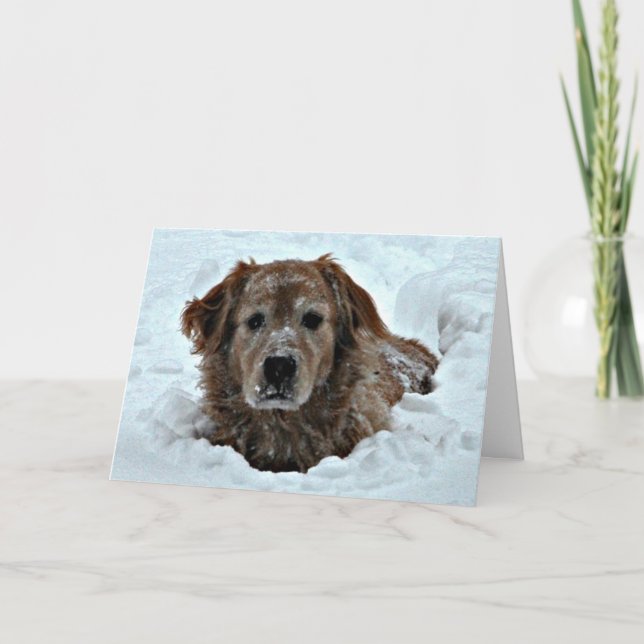 Carte Décembre Anniversaire Humour avec mignon chien (Devant)