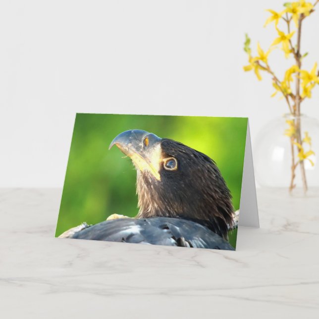 Carte Décorah Aigles du Nord : Lune fleurie (Fleur jaune)