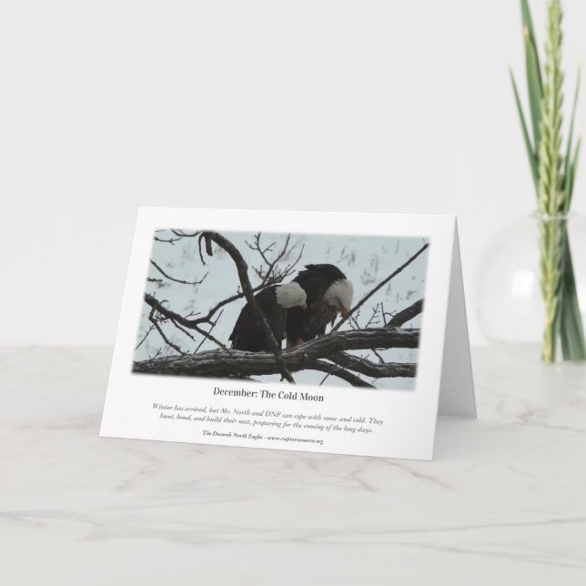 Carte Decorah North Eagles : La Lune Froide (Dos)