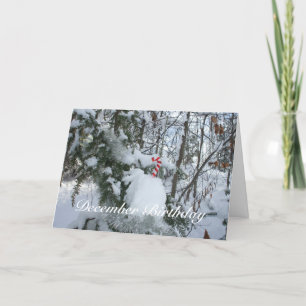 Carte Décoration sucre de canne-Décembre Anniversaire