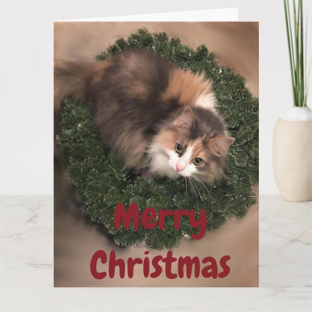 Carte Décorations De Petite Miss Hatching (Devant)