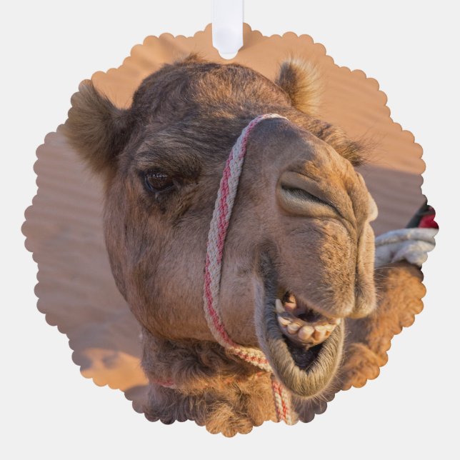 Carte Décorative Camel avec une drôle d'expression faciale - Oman (Recto)
