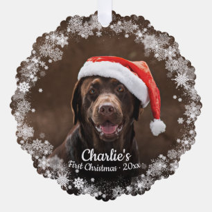 Carte Décorative Chien mignon chiot animal de compagnie premier Noë