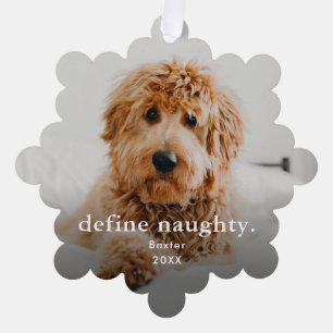 Carte Décorative Funny Pet 2 Photo Noël