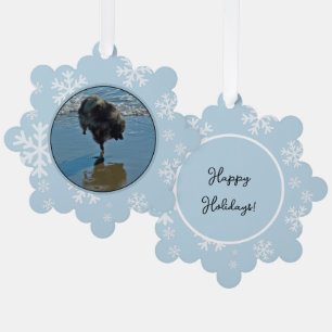 Carte Décorative Keeshond Ballet Photographie - Joli chien d'origin