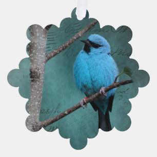 Carte Décorative Oiseau bleu sur support mixte