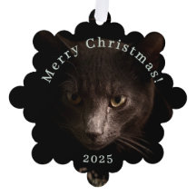 Tag de Noël de chat noir et