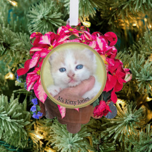 Carte Décorative Votre Photo -Traditionnel Poinsettia Cadeau Annuel