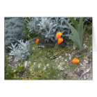 Carte d'écriture sainte : Pavots de CA