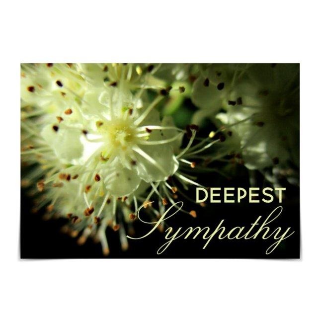 Carte "Deepest Sympathy" Floral blanc (Créateur téléchargé)