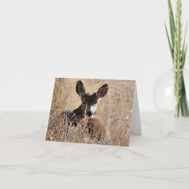 Carte Deer Note (Devant)