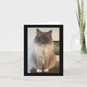 Carte Définition de CAT