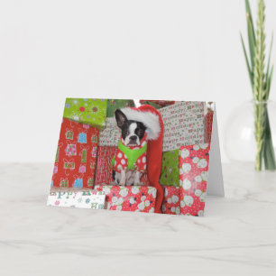 Carte d'Elf Boston Terrier