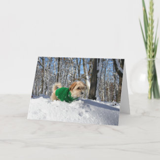 Carte d'encouragement de grimpeur de montagne