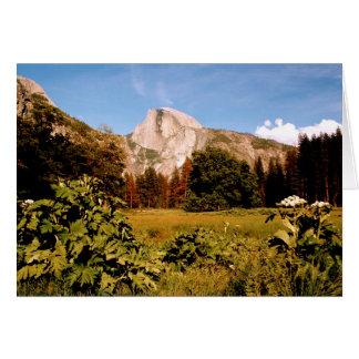 Carte d'entrée du parc national Yosemite