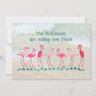 Carte Déplacement sous les Tropiques Amis des Flamants N
