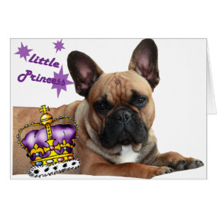 Carte des bulldogs français