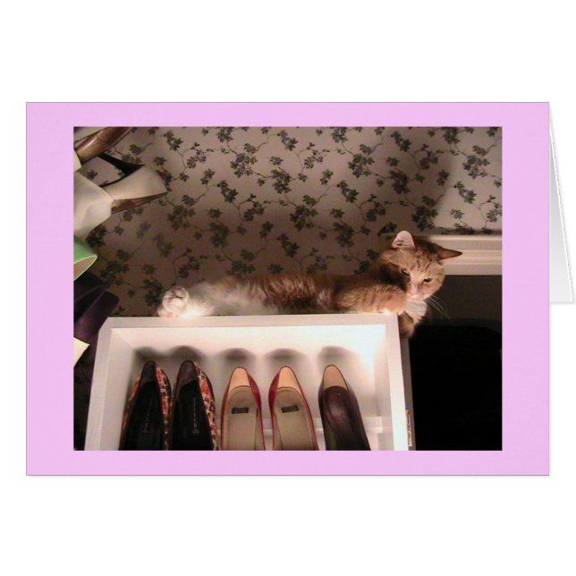 Carte des chaussures de Jazzpurr - customisée (Devant horizontal)