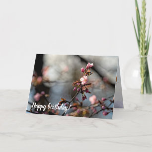 Carte Des Fleurs Sakura illuminées contre le ciel nuageu