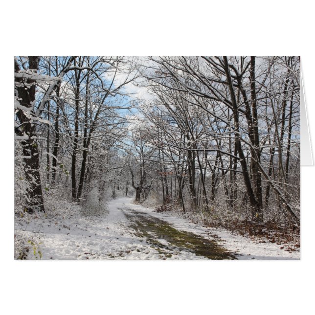 Carte des merveilles d'hiver (Devant horizontal)