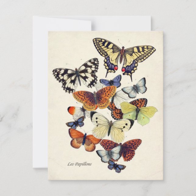 Carte des papillons du jardin vintage (Devant)