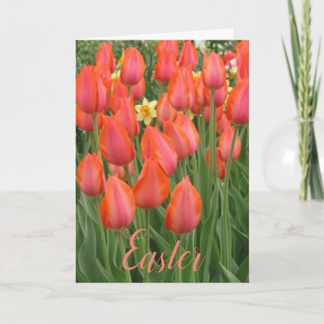 Carte des tulipes de Pâques (Devant)