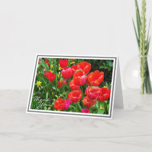 Carte Des tulipes rouges brillantes contre le feuillage 