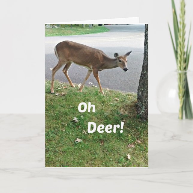 Carte Des voeux d'anniversaire tardives et humoristiques (Devant)