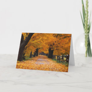 Carte Descendre le chemin de la mémoire de l'automne