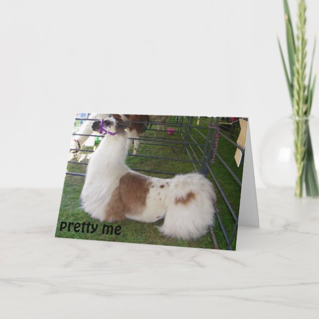 CARTE DÉSIRS D'ANNIVERSAIRE DE LA LAMA CONCÉDÉE (Devant)