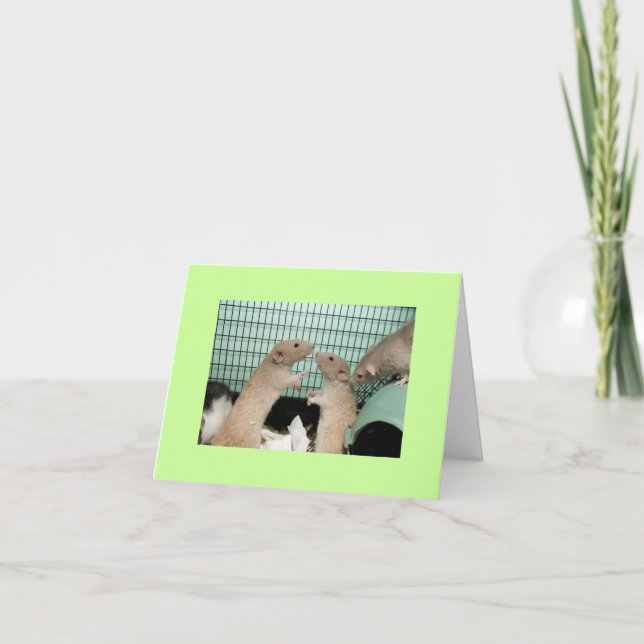 Carte désolé (Devant)