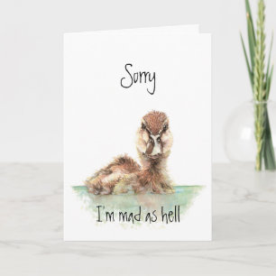 Carte Désolé, Canard En Colère, Encouragement, Perte D'E