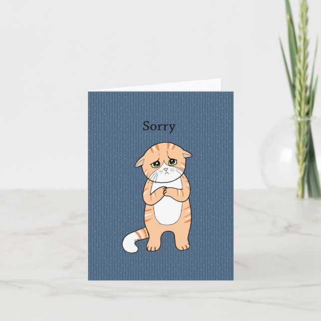 Carte Désolé Cat Mat Sad Orange Tabby Cat Excusations (Devant)