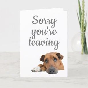 Carte Désolé de laisser le chien triste vide