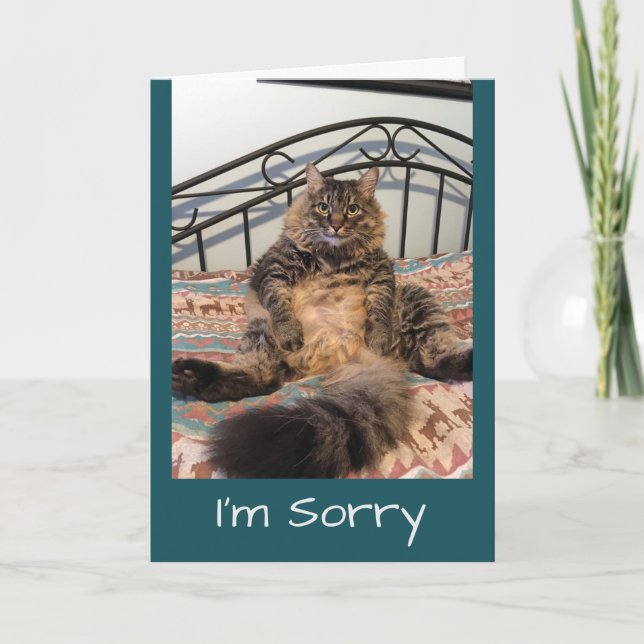 Carte Désolé De Ne Pas Pardonner Kimber Cat (Devant)
