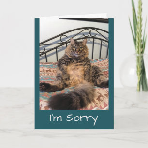 Carte Désolé De Ne Pas Pardonner Kimber Cat