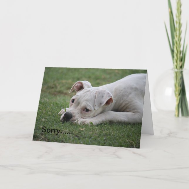 Carte Désolé de ne pas vous sentir si bien. (Devant)