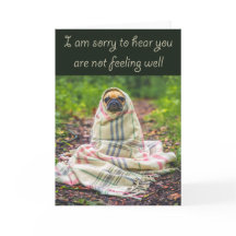 Désolé d'entendre que vous n'êtes pas bien, Carlin