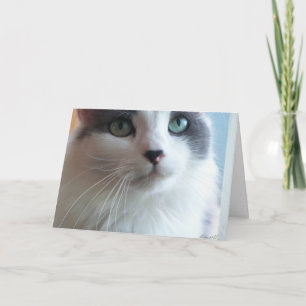 Carte Désolé Kitty avec les yeux tristes