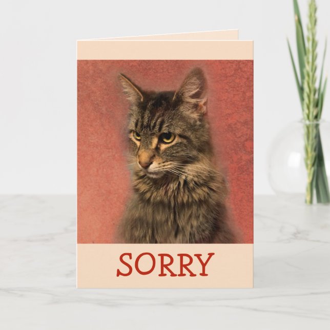 Carte Désolé Kitty, excuses (Devant)