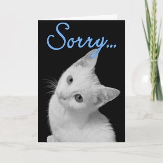 Carte Désolé Mignon Chat Turc Van Noir & Blanc Photo