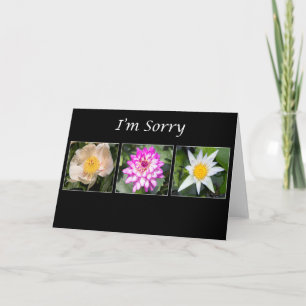 Carte Désolé Peony, Dahlia, Lotus Botanical