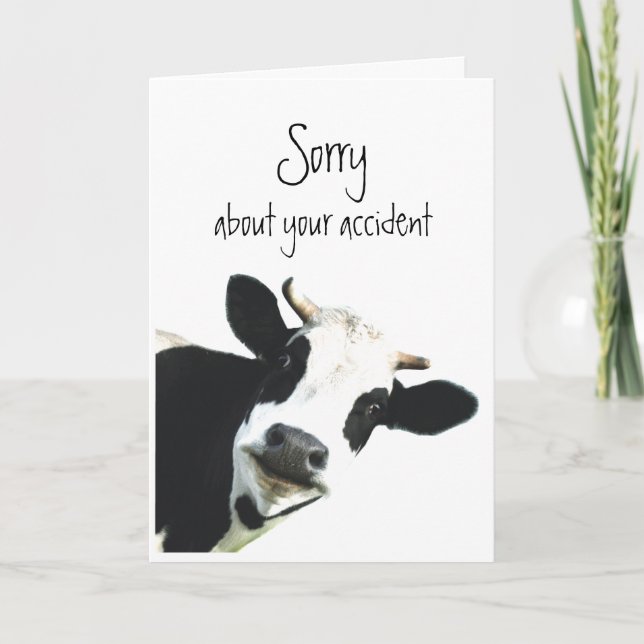 Carte Désolé pour Accident Flowers Fun Cow Holstein (Devant)