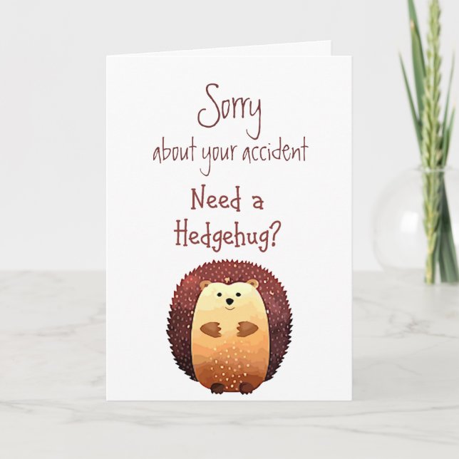 Carte Désolé pour Accident Flowers Fun Hedgehog Hug (Devant)