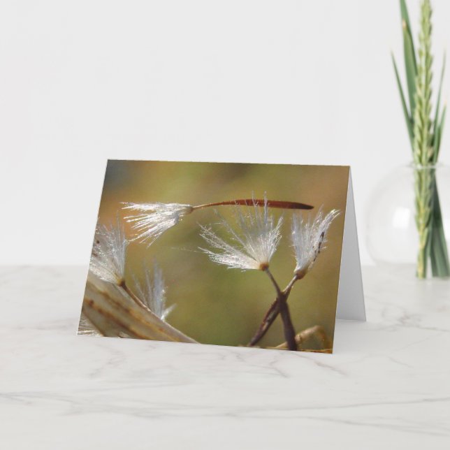 Carte Désolé Pour Votre Dandelion Perdu Avec Poème (Devant)