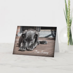 Carte Désolé Puppy Grey Card