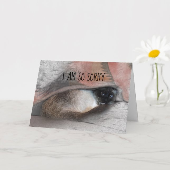 Carte Désolée Siamese Kitty - Photo remplaçable (Petite plante)